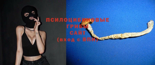 таблы Богородицк