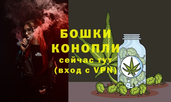 сатива Верхний Тагил