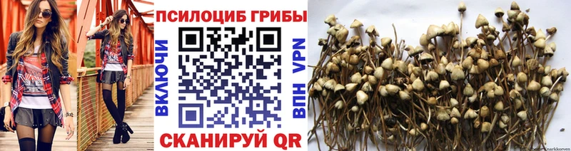 Галлюциногенные грибы GOLDEN TEACHER  закладка  Знаменск 